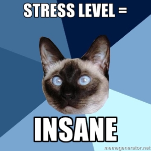 Chronic Illness Cat understands that stress levels can increase when living with a chronic illness 
